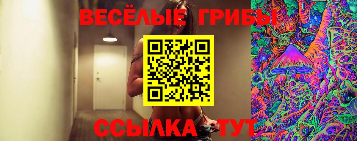Галлюциногенные грибы Psilocybe Камышин