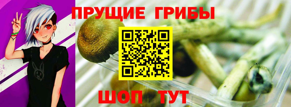 Псилоцибиновые грибы Magic Shrooms  магазин  наркотиков  Камышин  Вход с VPN 